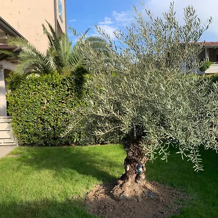 Residenza Puccini Dom wakacyjny *