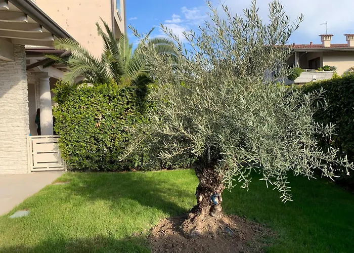 Residenza Puccini Σπίτι διακοπών *